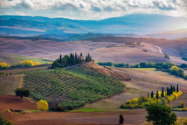 Tanınmış Toskana Manzarası Tahıl Tarlaları Selvi Ağaçları Gün Batımında Tepelerde — Stok fotoğraf