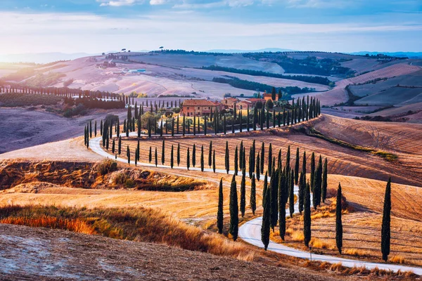 Hills Olive Gardens Small Vineyard Rays Morning Sun Italy Tuscany — Stok fotoğraf