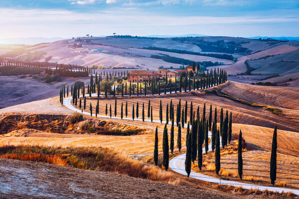Hills, olive gardens and small vineyard under rays of morning sun, Italy, Tuscany. Famous Tuscany landscape with curved road and cypress, Italy, Europe
