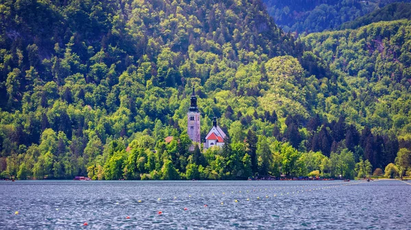 Danau Bled Slovenia Danau Gunung Yang Indah Dengan Gereja Ziarah — Stok Foto