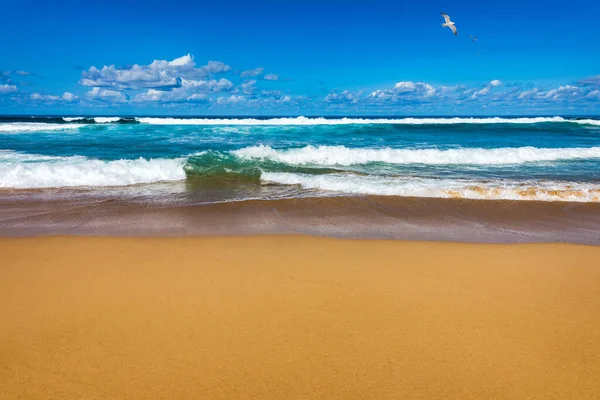 Erstaunlicher Strand Von Cofete Mit Endlosem Horizont Vulkanische Hügel Hintergrund — Stockfoto
