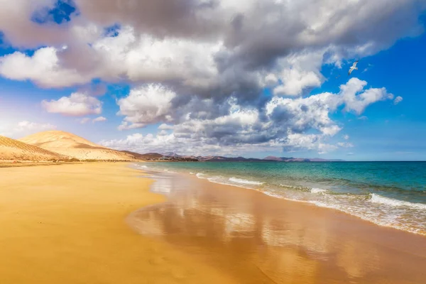 Vista Sobre Praia Sotavento Com Areia Dourada Água Cristalina Mar — Fotografia de Stock