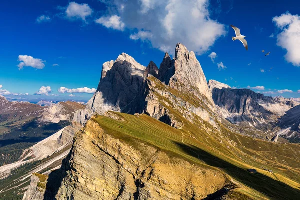 Vista Sobre Seceda Con Aves Volando Sobre Los Picos Trentino — Foto de Stock