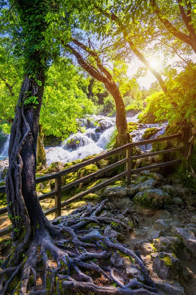 Piękny Skradinski Buk Wodospad Parku Narodowego Krka Dalmacja Chorwacja Europa — Zdjęcie stockowe