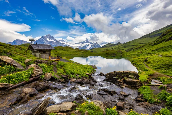 Bachalpsee Sjö Gryningen Bernese Oberland Schweiz Alpin Utsikt Över Schreckhorn — Stockfoto