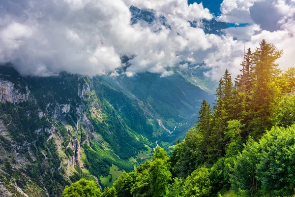 Panoramatický Pohled Idylické Horské Scenérie Alpách Čerstvými Zelenými Loukami Květu — Stock fotografie