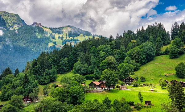 Roterbrunnen Valley 가장자리에 Wengen 마을의 스위스 칸톤에 인터라켄 지역의 마을에 — 스톡 사진