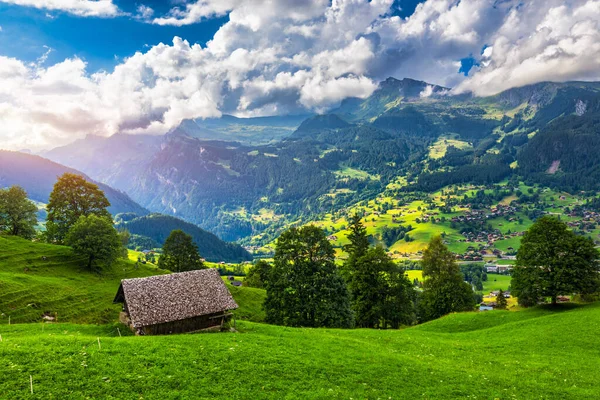 Вид Деревни Федельвальд Панорама Летних Швейцарских Альп Деревянные Шали Зеленых — стоковое фото