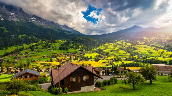 Grindelwald Byn Utsikt Och Sommar Schweiziska Alperna Panorama Landskap Trä — Stockfoto