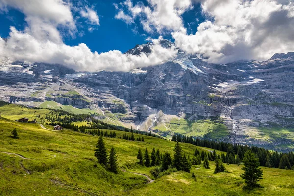 stock image Panoramic view of idyllic mountain scenery in the Alps with fresh green meadows in bloom on a beautiful sunny day in summer, Switzerland. Idyllic mountain landscape in the Alps with meadows in summer.