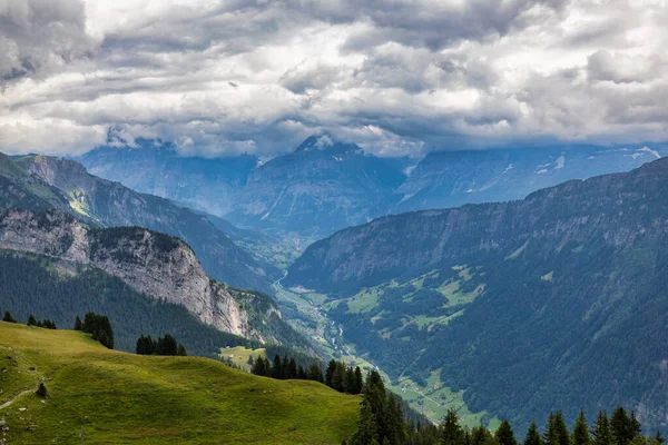 在瑞士一个美丽的阳光明媚的夏天 阿尔卑斯山区田园诗般的山景全景 绿油油的草甸盛开 夏季带草甸的阿尔卑斯山的宜人山水景观 — 图库照片