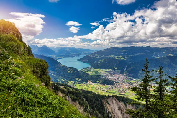 Вид Озеро Тун Тропы Шниге Платт Бернском Кантоне Швейцарии Популярная — стоковое фото