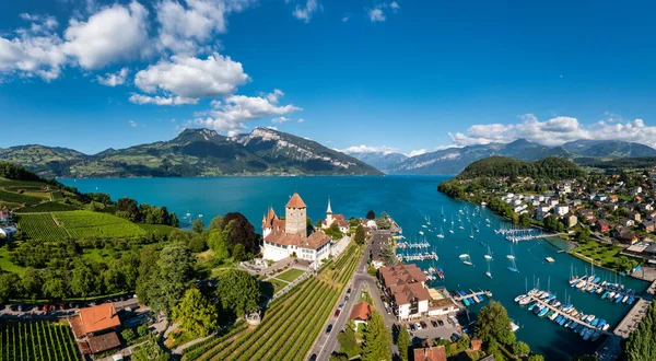 Вид Воздуха Церковь Шпиц Замок Берегу Озера Тун Швейцарском Кантоне — стоковое фото