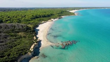 Baia dei Turchi 'nin havadan görünüşü, Puglia bölgesi, İtalya. Türk Körfezi (veya Baia dei Turchi), İtalya 'nın Salento kentindeki en önemli ekosistemlerden biridir. Baia dei Turchi 'nin deniz kıyısında..