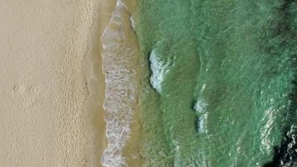 Punta Prosciutto Una Maravillosa Playa Costa Salento Parte Del Municipio — Vídeos de Stock