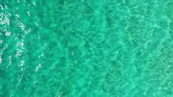 蓬塔普罗西托 Punta Prosciutto 是意大利南部Puglia地区的Salento海岸的一个美丽海滩 是Porto Cesareo市的一部分 意大利最美丽的海滩之一阿普利亚的蓬塔 普洛西托 — 图库视频影像