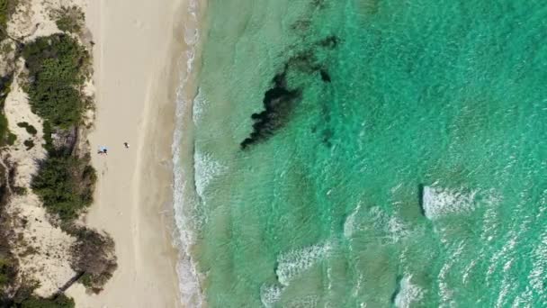 Punta Prosciutto Γαλάζιο Θαλασσινό Νερό Κρυστάλλινα Νερά Στην Παραλία Punta — Αρχείο Βίντεο