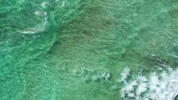 蓬塔普洛西托碧海清水 水晶清水在海滩蓬塔普洛西托 意大利马尔代夫普利亚 意大利最美丽的海滩之一阿普利亚的蓬塔 普洛西托 — 图库视频影像