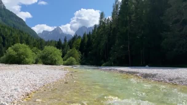Rzeka Pisnica Kranjskiej Górze Regionie Górna Carniola Północno Zachodniej Słowenii — Wideo stockowe