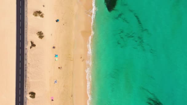 Tropischer Strand Luftaufnahme Draufsicht Auf Wellen Brechen Tropischen Gelben Sandstrand — Stockvideo
