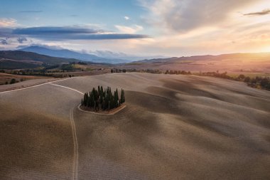 Hills, olive gardens and small vineyard under rays of morning sun, Italy, Tuscany. Famous Tuscany landscape with curved road and cypress, Italy, Europe