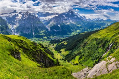 Grindelwald manzarası ve yaz İsviçre Alp Dağları manzarası, yeşil alanlar ve arka planda yüksek zirveler, İsviçre, Bernese Oberland, Avrupa.