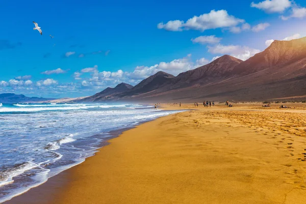 Uçsuz bucaksız ufku olan harika Coffee Plajı. Arka planda volkanik tepeler ve Atlantik Okyanusu. Coffee Beach, Fuerteventura, Kanarya Adaları, İspanya. Playa de Coffee, Fuerteventura, Kanarya Adaları.