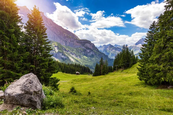 İsviçre 'nin güzel, güneşli bir yaz gününde yemyeşil çayırların açtığı Alpler' in panoramik manzarası. Yaz mevsiminde Alpler 'de çayırları olan İdilik dağ manzarası.