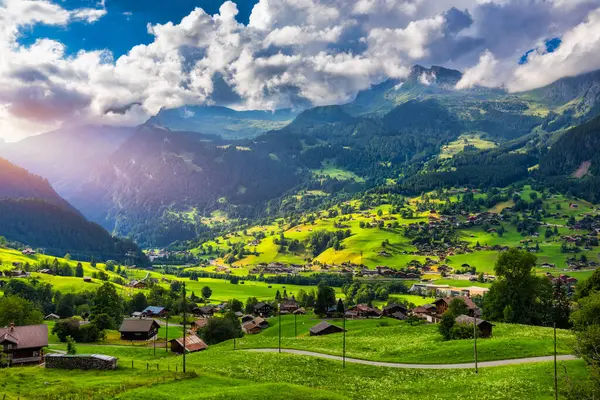 Grindelwald köy manzarası ve yaz İsviçre Alp Dağları manzarası, yeşil tarlalarda ahşap kireçler ve arka planda yüksek zirveler, İsviçre, Bernese Oberland, Avrupa.