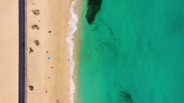 Αεροφωτογραφία Της Παραλίας Στο Corralejo Park Fuerteventura Κανάρια Νησιά Corralejo — Αρχείο Βίντεο