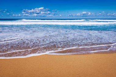 Uçsuz bucaksız ufku olan harika Coffee Plajı. Arka planda volkanik tepeler ve Atlantik Okyanusu. Coffee Beach, Fuerteventura, Kanarya Adaları, İspanya. Playa de Coffee, Fuerteventura, Kanarya Adaları.