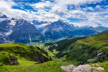 Grindelwald manzarası ve yaz İsviçre Alp Dağları manzarası, yeşil alanlar ve arka planda yüksek zirveler, İsviçre, Bernese Oberland, Avrupa.