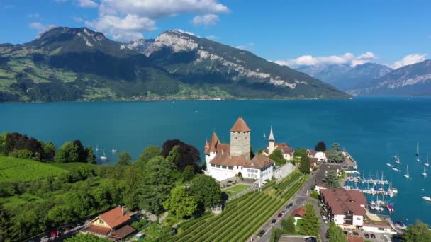 Повітряний Панорамний Вид Церкву Шпіц Замок Березі Озера Тун Швейцарському — стокове відео