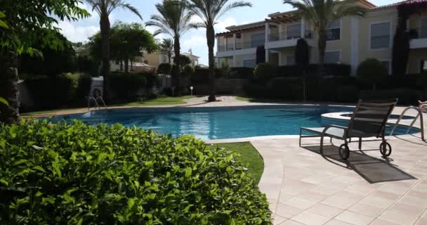 Bazén Lehátka Palmy Během Teplého Slunečného Dne Ráj Pro Dovolenou — Stock video
