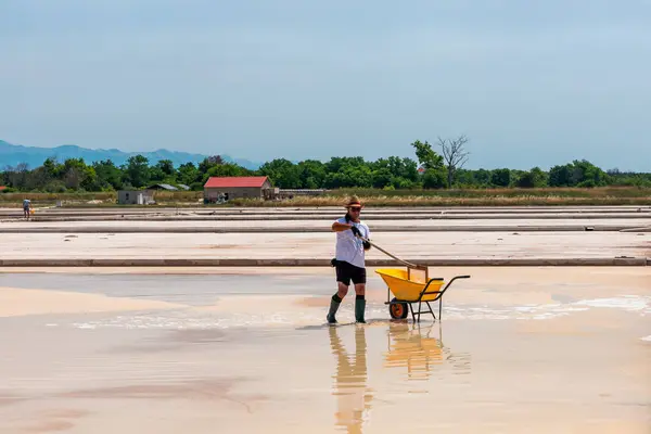stock image Nin, Croatia - 8 July 2021: Man picking up salt in the swamp and filling the wheelbarrow. Salt farmer harvesting the salt. Sea salt is salt that is produced by the evaporation of seawater.