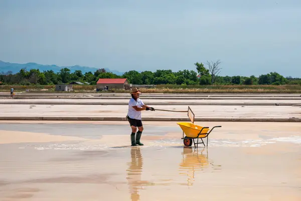 Nin Croatia July 2021 Man Picking Salt Swamp Filling Wheelbarrow 스톡 사진