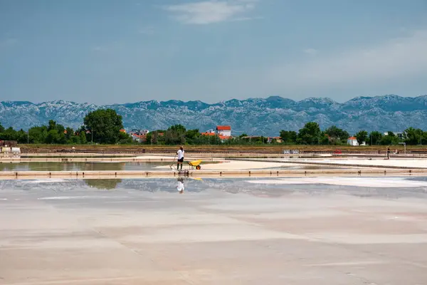 Nin Croatia July 2021 Man Picking Salt Swamp Filling Wheelbarrow lizenzfreie Stockbilder
