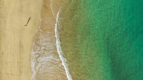 Veduta Aerea Della Gente Che Corre Sulla Spiaggia Sabbia Bianca — Video Stock