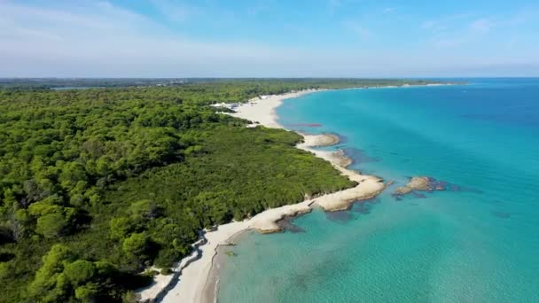 イタリア プーリア地方のベイア ターチの空中視界 アプリアのこの海岸は イタリアのサレントで最も重要な生態系の1つです ベイア ターチの海岸 — ストック動画