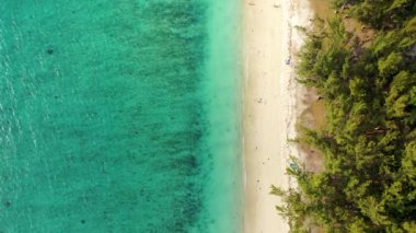 Flic en flac plajlı güzel Mauritius adası. Tropikal palmiye plajı çevresindeki mercan kayalıkları, Flic en Flac, Mauritius. Mauritius, Flic en Flac sahilinde güzel bir sahilin havadan görüntüsü..