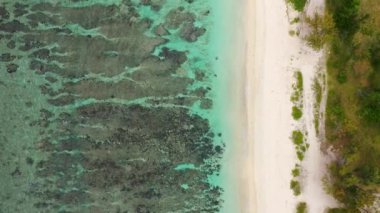 Doğu kıyısındaki Palmar Sahili, Hint Okyanusu, Mauritius Adası. Turkuaz denizi ve Mauritius Adası 'ndaki güzel kumlu plajı olan Palmar Sahili..