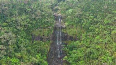 Alexandra, Mauritius adasının ormanına düşer. Alexandra Şelalesi 'nin, Mauritius Şelalesi, Mauritius Şelalesi ve Cennet Adası' ndaki Black River Milli Parkı 'ndaki hava manzarası..