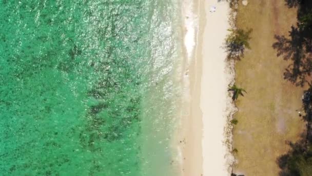 熱帯ビーチの景色 パラダイス島モーリシャスでの休暇 夢のエキゾチックな島 トロピカルパラダイス モーリシャス島の最高のビーチ モーリシャス インド洋 アフリカの豪華リゾート — ストック動画