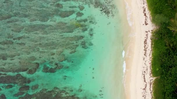 Παραλία Πάλμαρ Στην Ανατολική Ακτή Ινδικός Ωκεανός Νήσος Μαυρίκιος Παραλία — Αρχείο Βίντεο