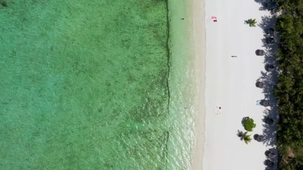 Ilha Ile Aux Cerfs Com Idílica Cena Praia Mar Água — Vídeo de Stock