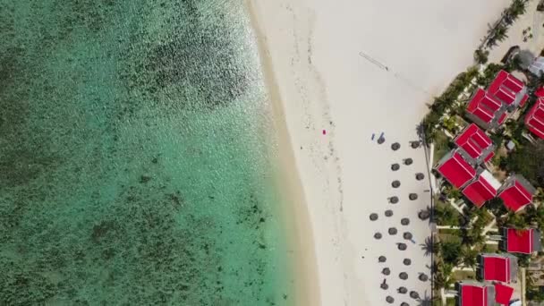 美丽的毛里求斯岛 有海滩芬兰花片 热带棕榈滩周围的珊瑚礁 毛里求斯弗里克湖 毛里求斯弗里克沿海美丽海滩的空中景观 — 图库视频影像