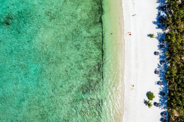 Tropik sahil manzarası, Mauritius adasında tatil. Rüya gibi egzotik bir ada, tropik bir cennet. Mauritius adasının en iyi plajları, Mauritius, Hint Okyanusu, Afrika 'nın lüks tatil beldeleri..