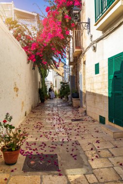 Polignano a Mare town, Puglia area, İtalya ve Avrupa 'nın muhteşem şehirleri. Polignano Al Mare, Puglia, İtalya 'da manzaralı küçük bir kasaba. Polignano a Mare village on the rocks, Bari, Apulia, Italy. 