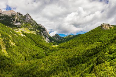 Triglav Ulusal Parkı 'ndaki vadi, Julian Alps, Slovenya. Julian Alps dağları, Slovenya, Avrupa.
