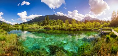 Slovenya 'daki Zelenci doğa koruma alanının muhteşem manzarası. Doğa rezervi Zelenci, Krajnska Gora, Slovenya, Avrupa. Zelenci Springs 'teki göl ve orman, Kranjska Gora, Yukarı Carniola, Slovenya.
